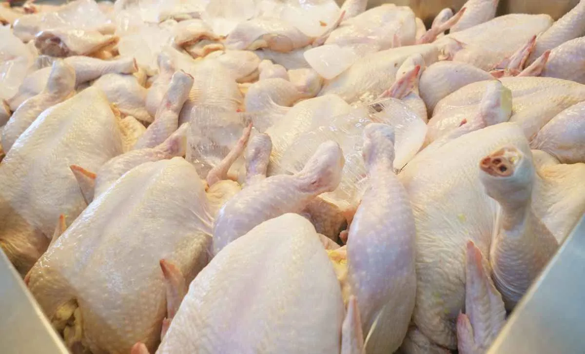 Alta do frete interrompe queda da carne de frango em março