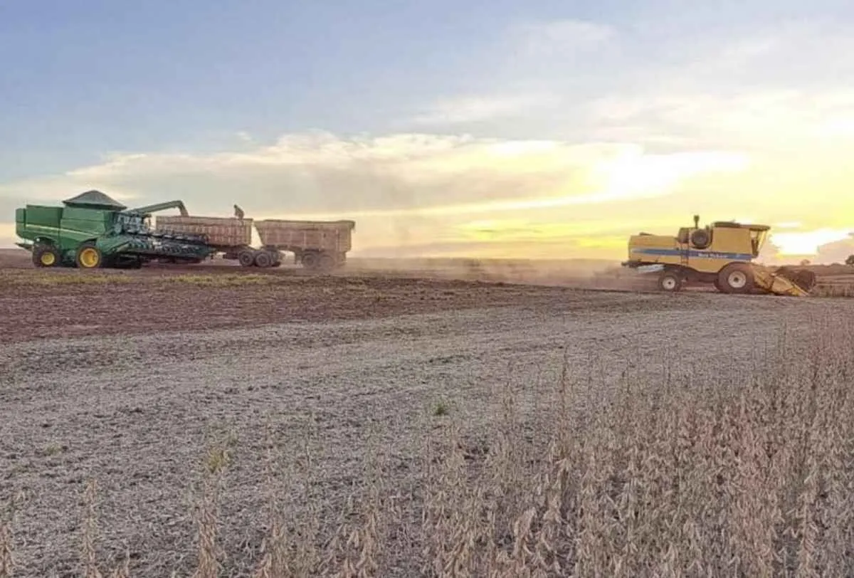 Colheita da soja e plantio do milho avançam para reta final em MS