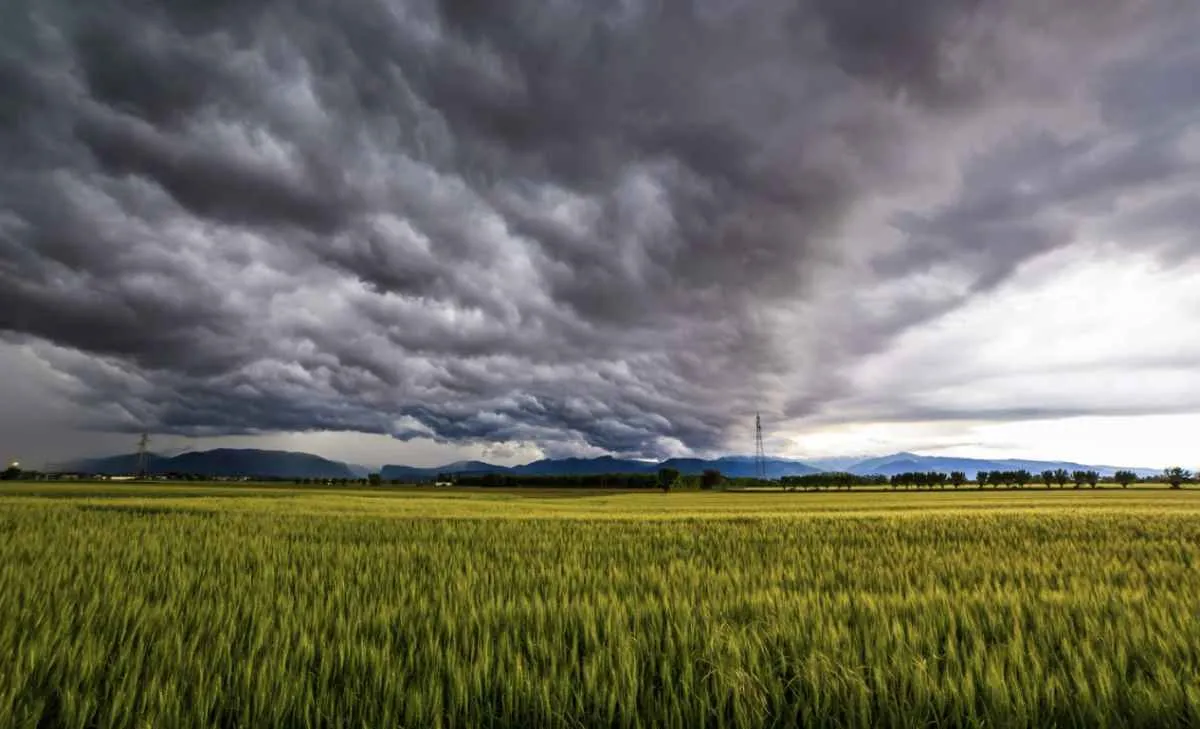 Transição climática acende alerta para safrinha no Brasil