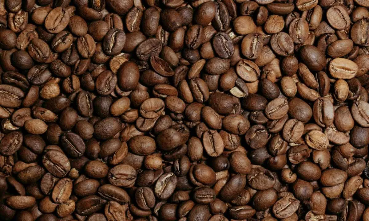 Café robusta tem menor preço desde março de 2024