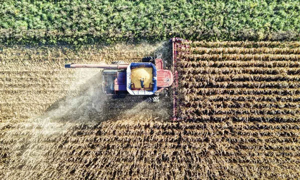 CNA alerta produtor sobre nova exigência do Prodes no crédito