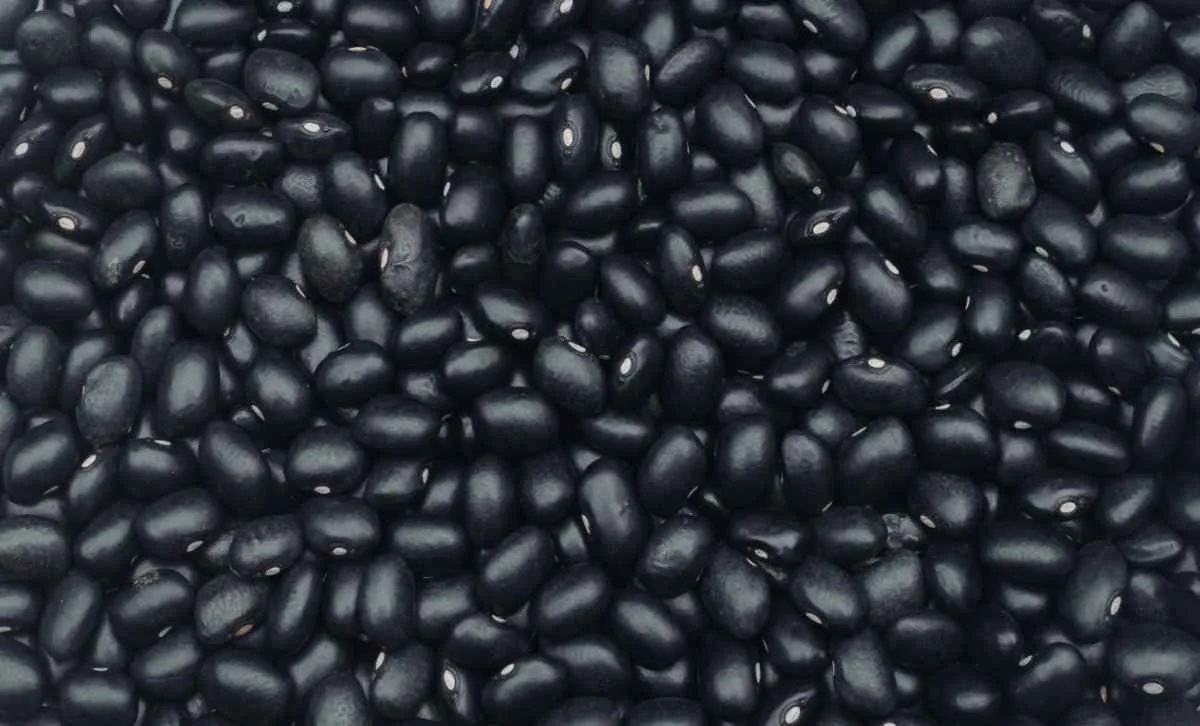 Feijão recua no fim de março com demanda mais fraca