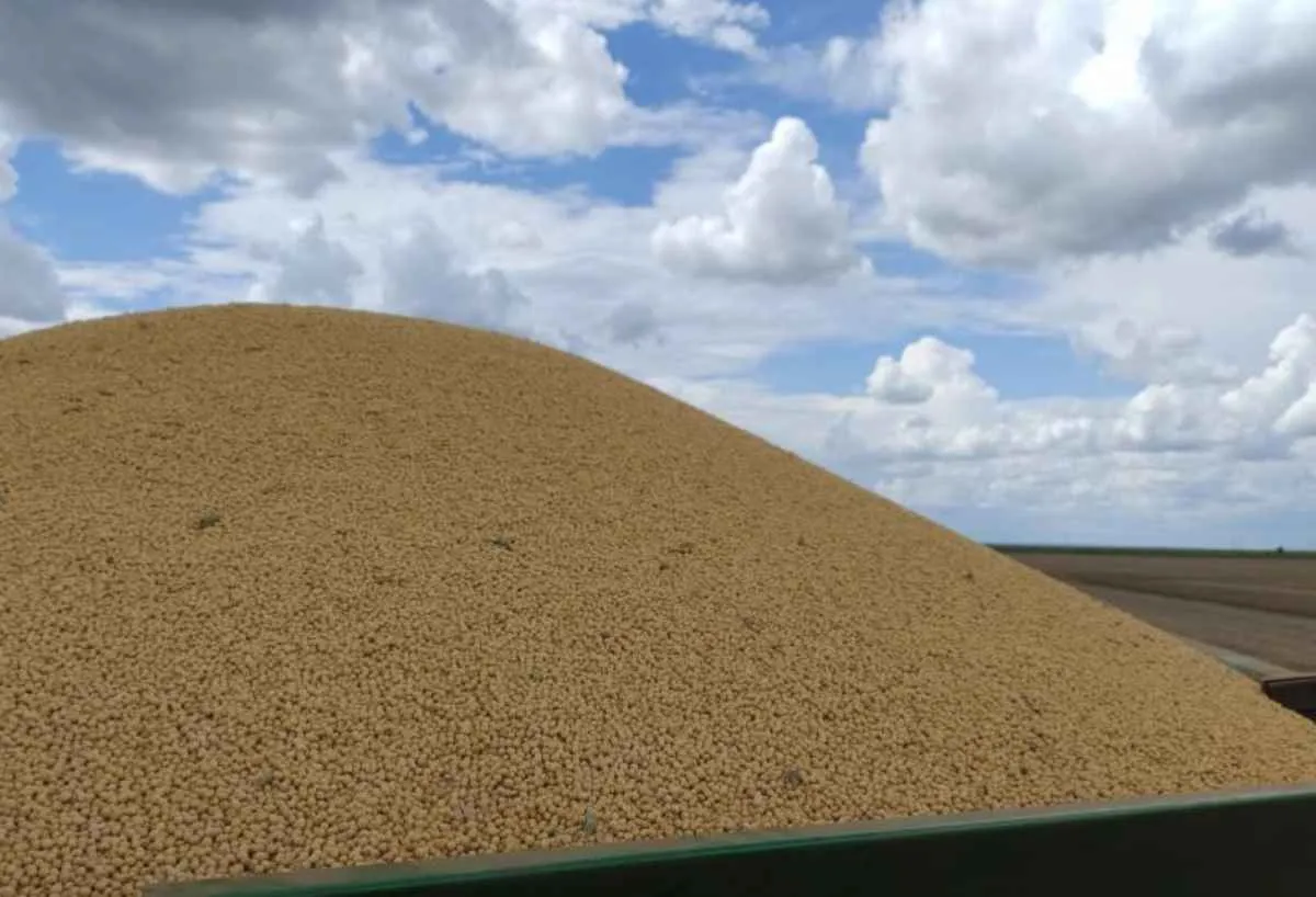 Soja lidera exportações em Mato Grosso do Sul em março