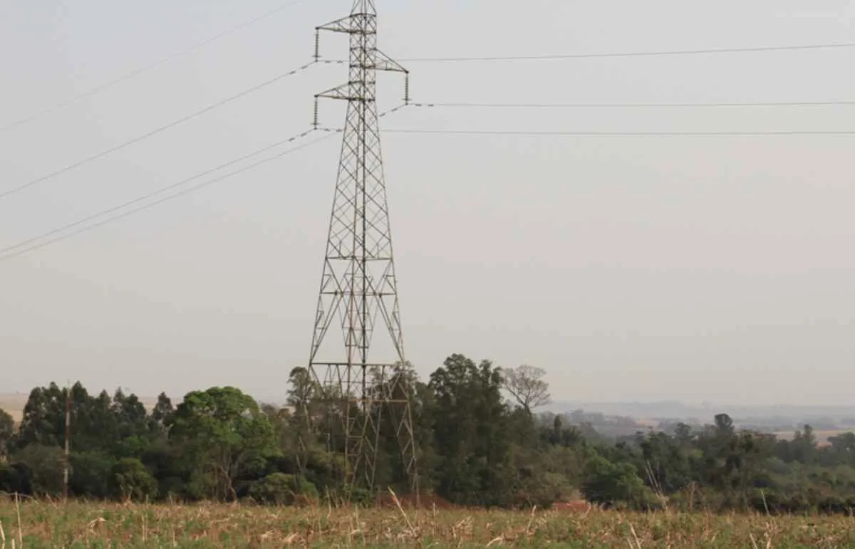 CCJ aprova projeto sobre poda em áreas rurais no Paraná