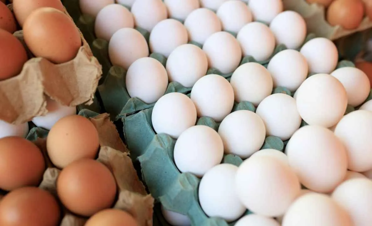 Ovos caem na 1ª quinzena de abril com demanda fraca