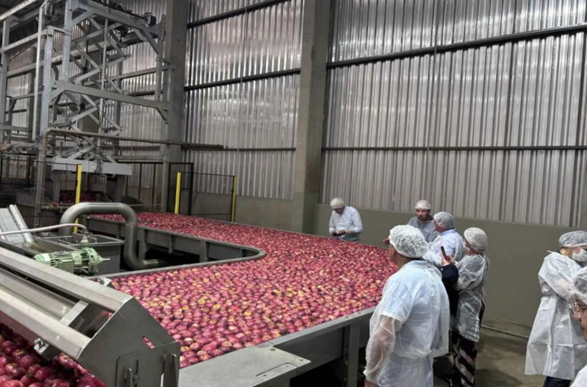 Missão abre caminho para frutas brasileiras em Cuba