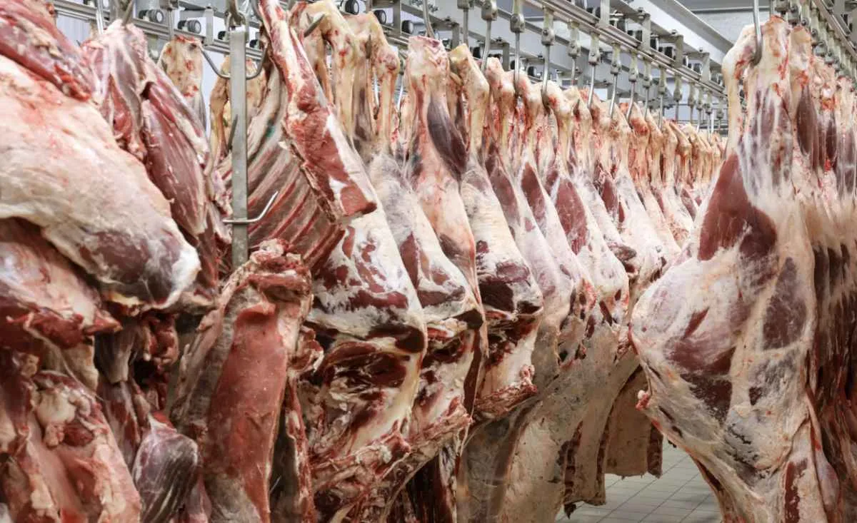 Carne bovina bate recorde e sobe 44,8% em dois anos