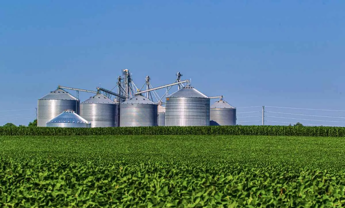 PIB do agro cresce 12,2% e chega a R$ 3,2 trilhões