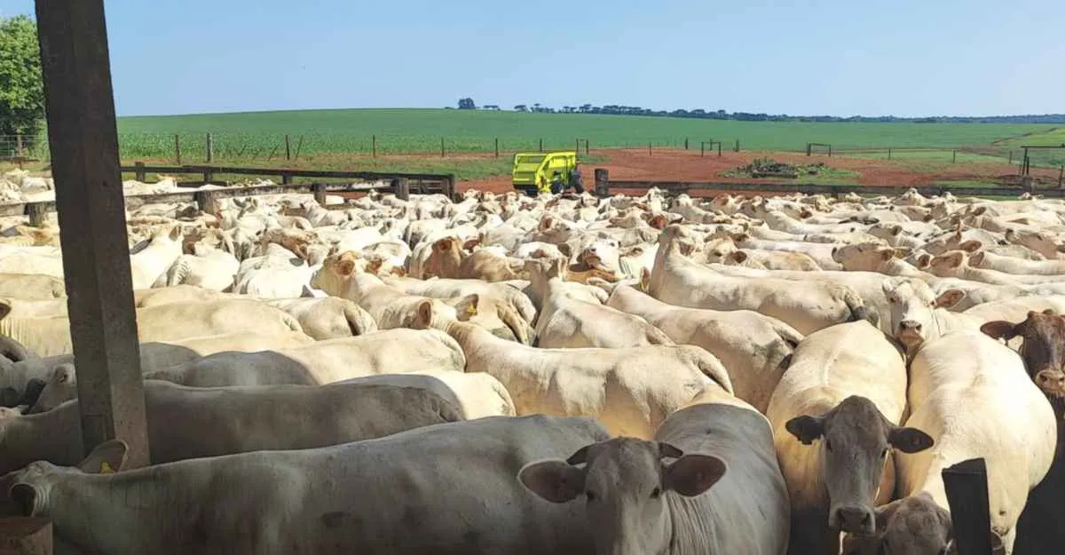 Paraná supera 28 mil cadastros na atualização de rebanhos