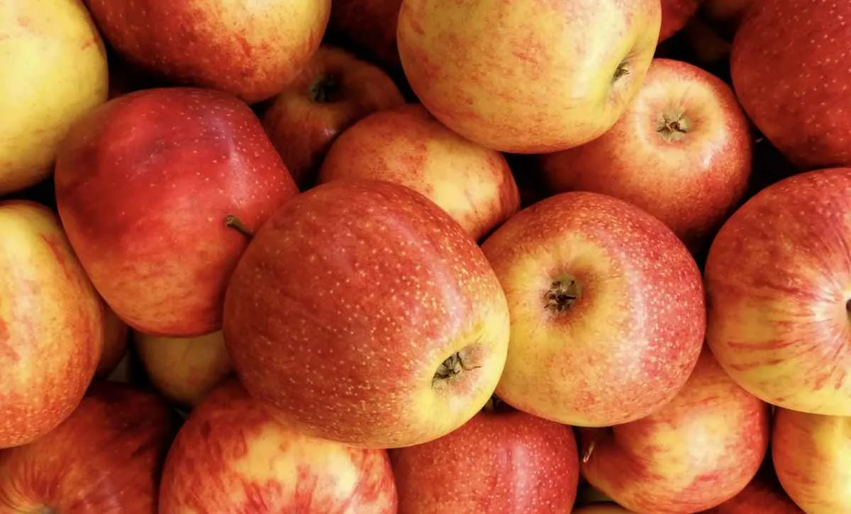 Oferta maior pressiona preços de frutas nas Ceasas