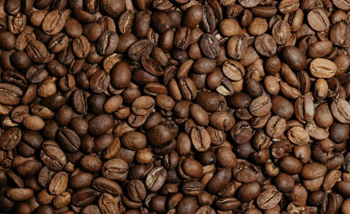 Brasil prevê safra recorde de 66,7 milhões de sacas de café