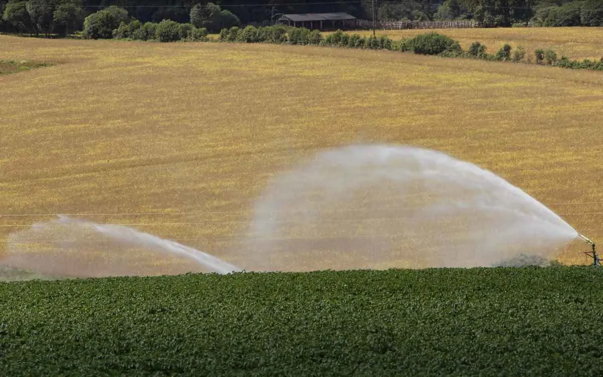 Paraná prorroga isenção do ICMS para o agro até 2026