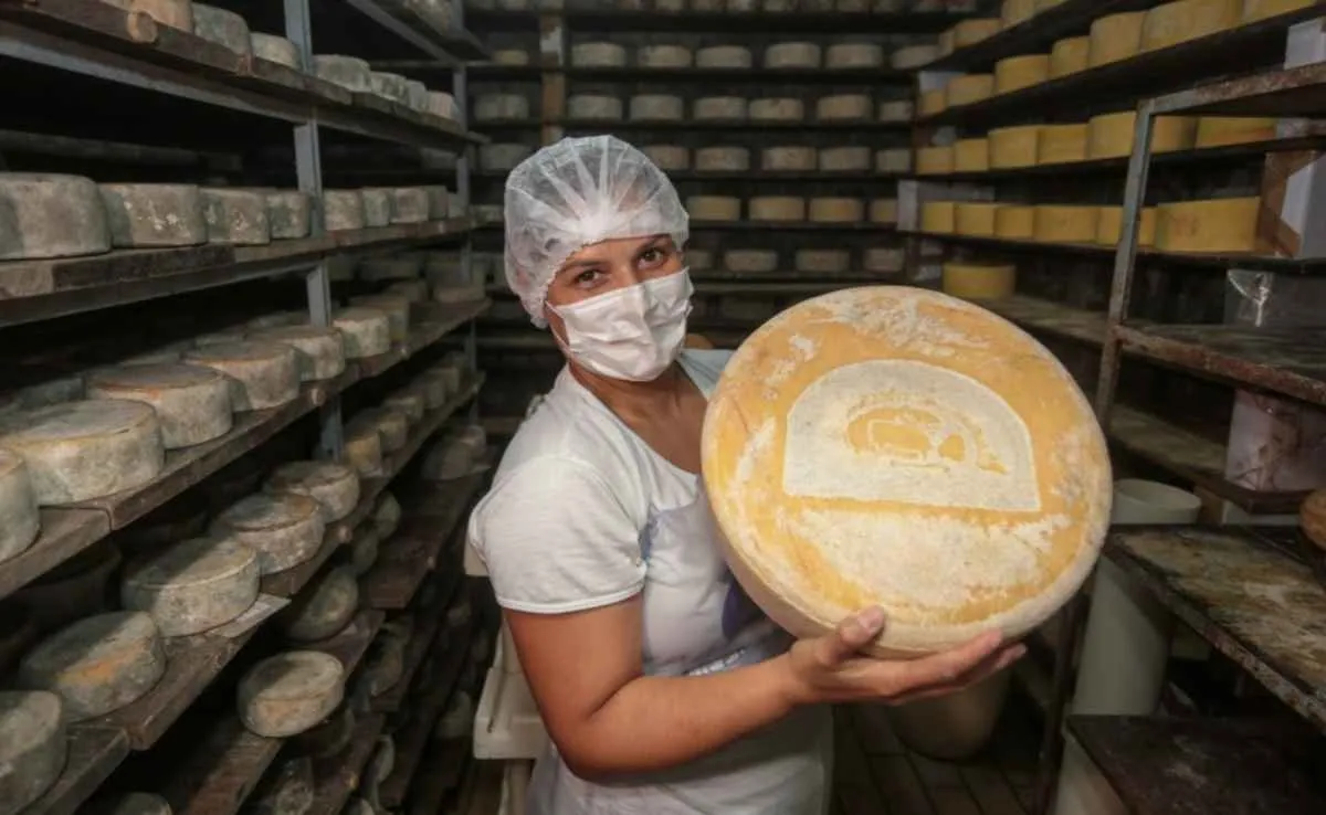 Produção artesanal de queijo avança em São Paulo