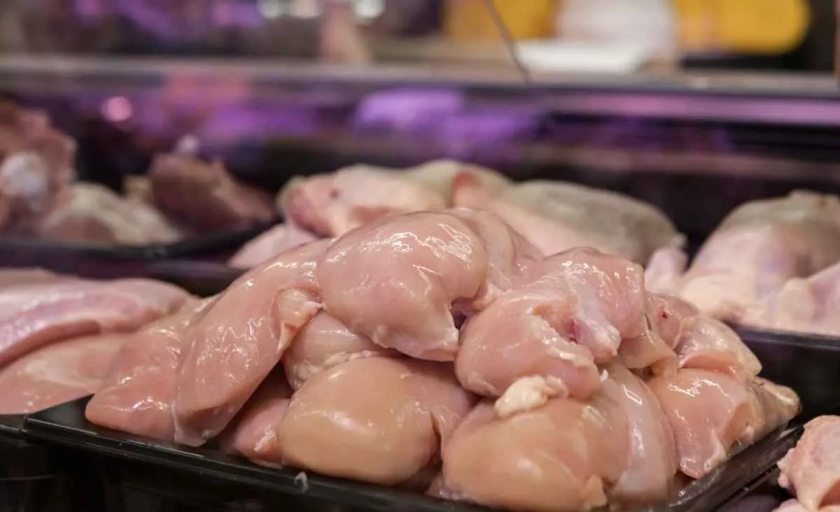 Exportações de frango batem recorde no 1º quadrimestre