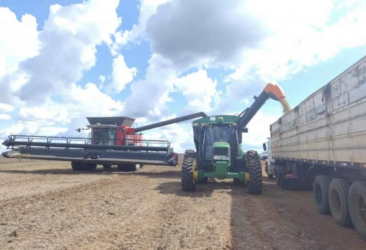 China compra 84% da soja de MS e eleva alerta no agro