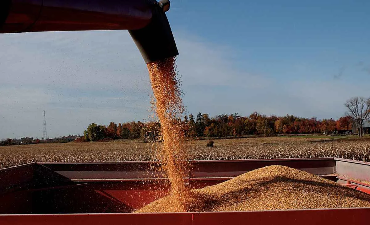 PIB avança no trimestre com força da agropecuária