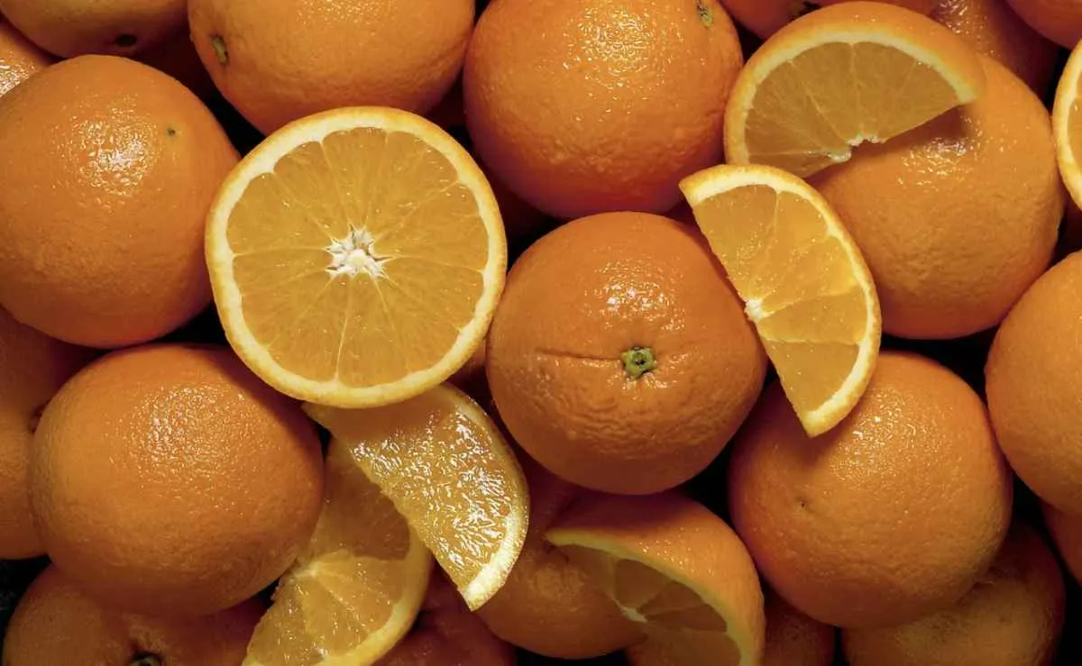 Queda na safra de laranja reduz pressão sobre estoques