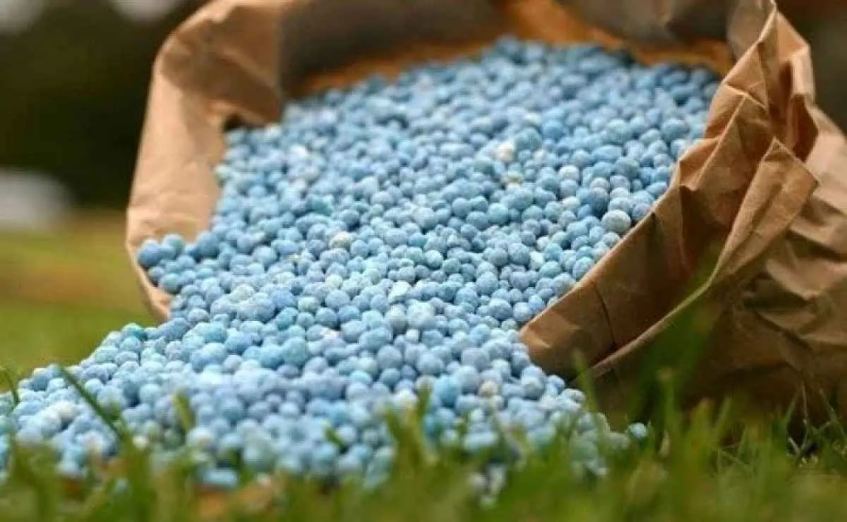 Fertilizantes enfrentam cenário de incertezas globais