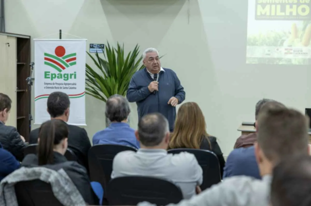 Santa Catarina busca reduzir déficit de milho com novo projeto