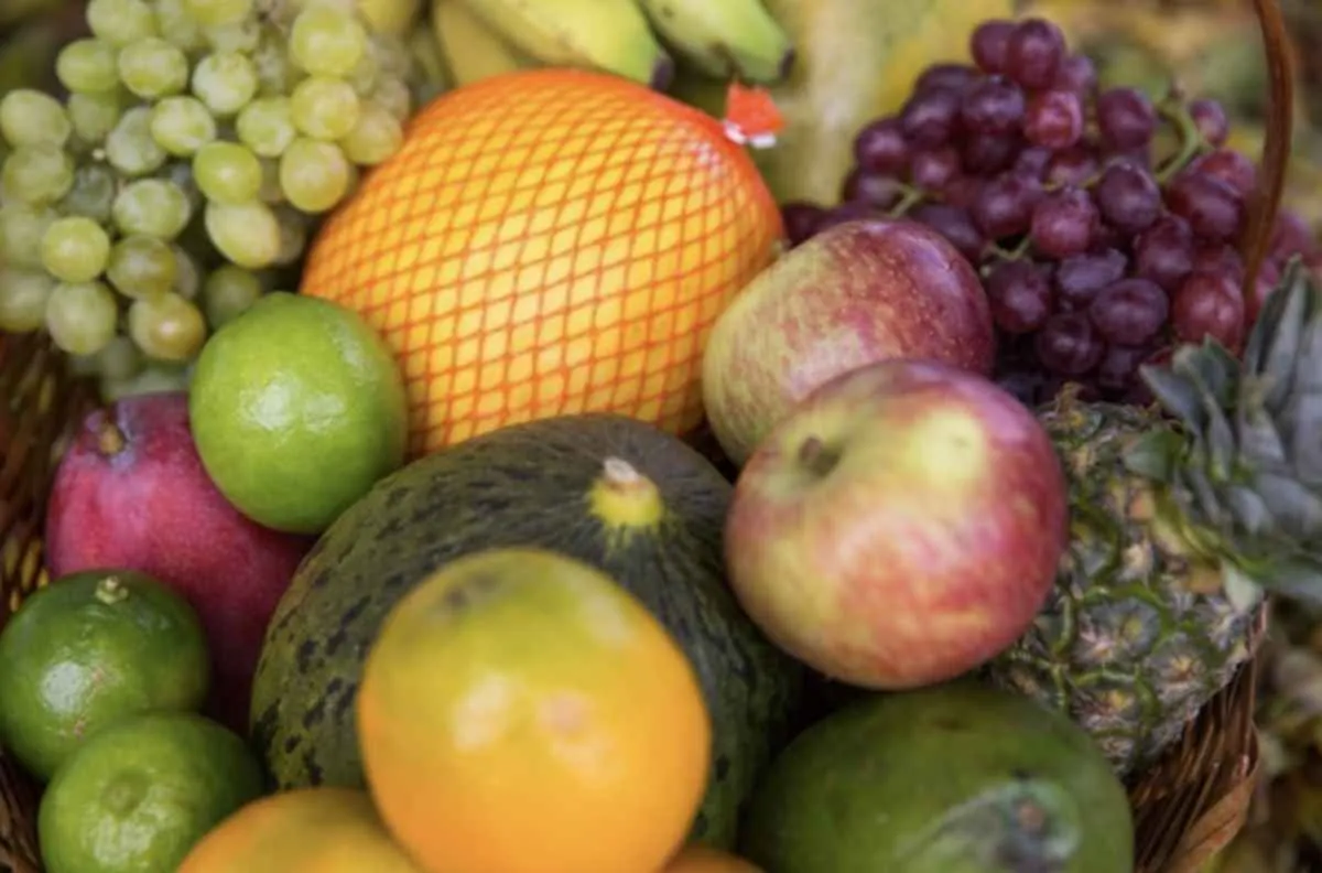 CNA debate ações de defesa fitossanitária na fruticultura