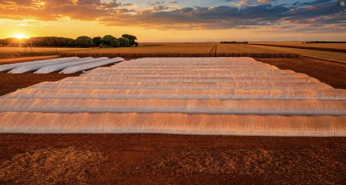 Déficit de armazenagem amplia uso de silo bolsa em MT