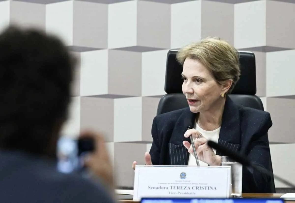 Tereza Cristina defende estratégia para minerais críticos