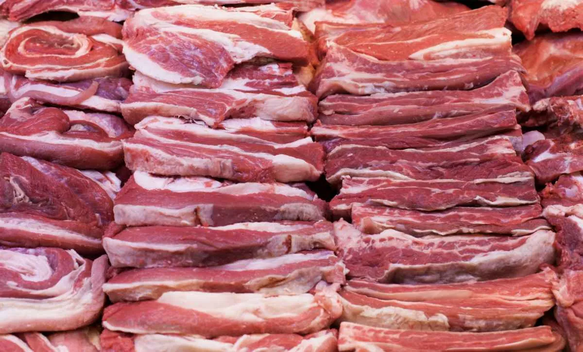 Carne bovina registra embarques históricos no ano
