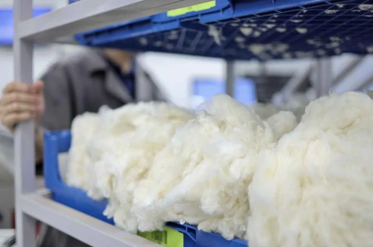 Laboratório brasileiro ganha papel estratégico no setor algodoeiro