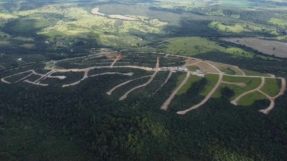 Produção de uva dobra em quatro anos e avança no Cerrado goiano