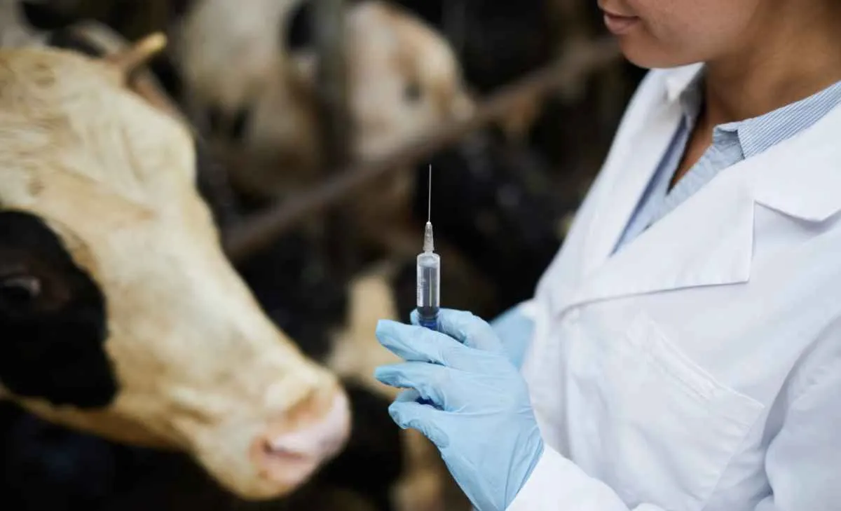Mercado recebe 27 milhões de doses contra clostridioses