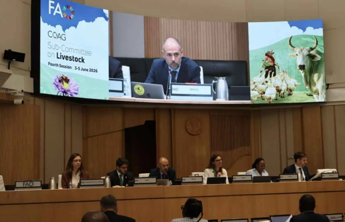 Brasil destaca pecuária sustentável em reunião da FAO