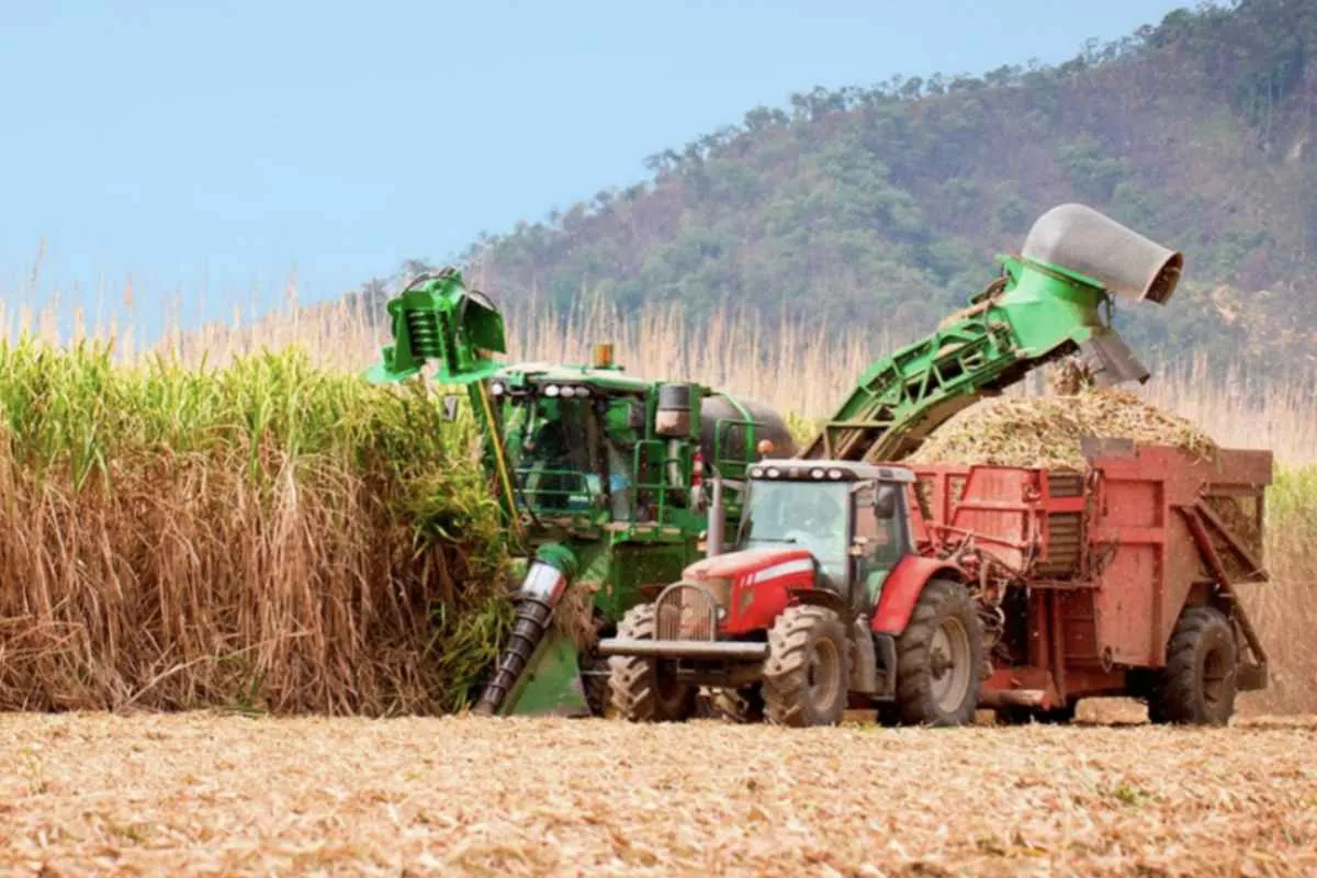 Exportações do agro de SP seguem fortes apesar dos preços