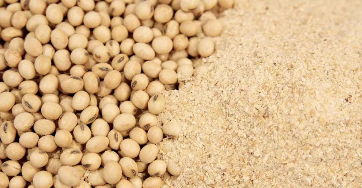 Agro paulista gera superávit de US$ 1,9 bilhão em maio
