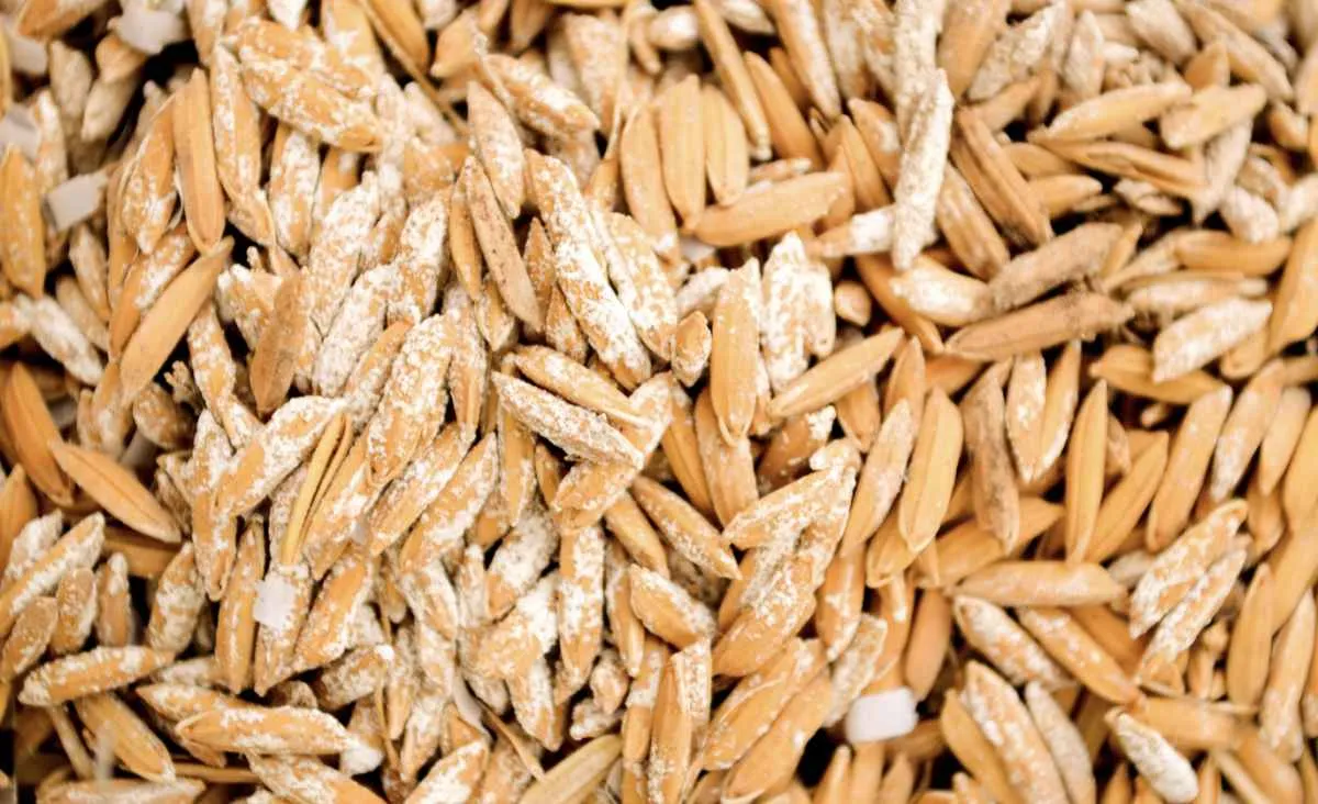 Preços do arroz reagem com oferta restrita mas liquidez segue baixa