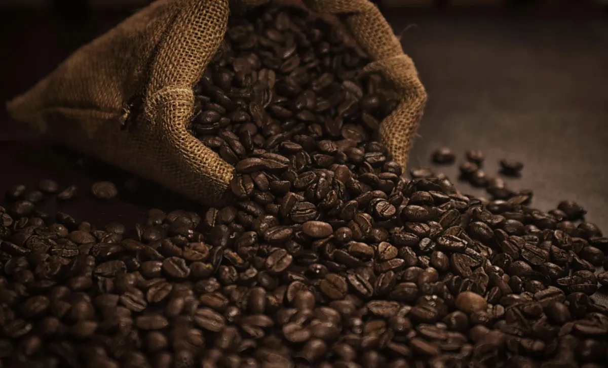 Exportação de café para os EUA despenca 36% no 1º semestre de 2026