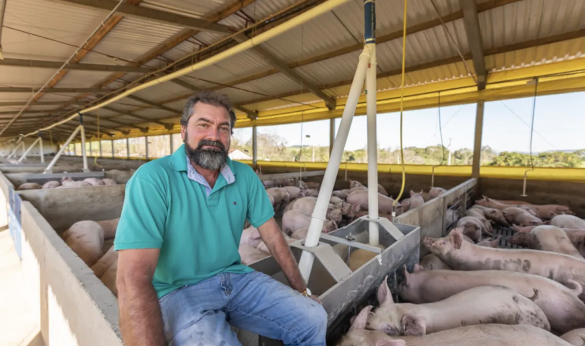 Dia do Suinocultor celebra protagonismo de setor que movimenta R$ 63,1 bilhões