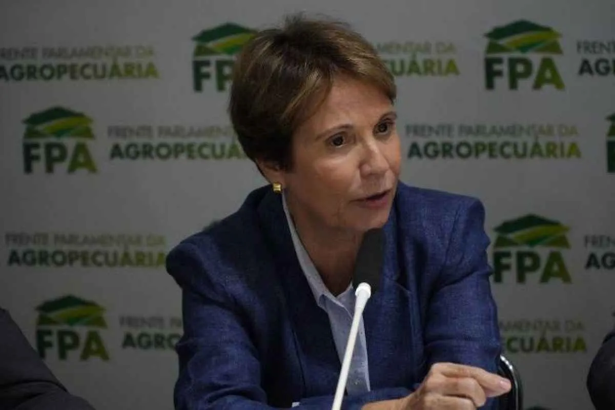 FPA reconhece avanços na aprovação da MP do Frete no Congresso