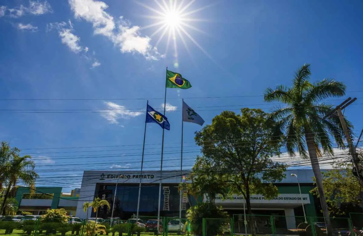 Medida provisória de crédito traz alívio para agro em MT