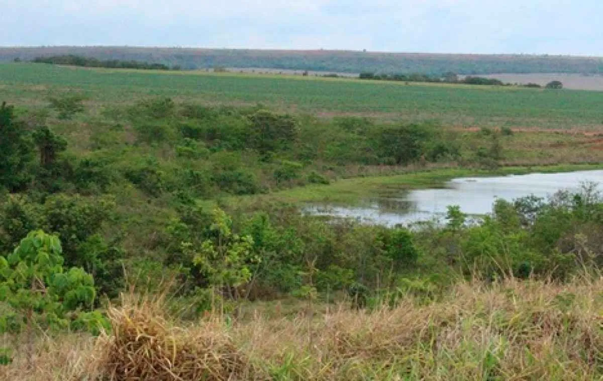 Programa prevê recuperar 1.000 hectares no Vale do Araguaia