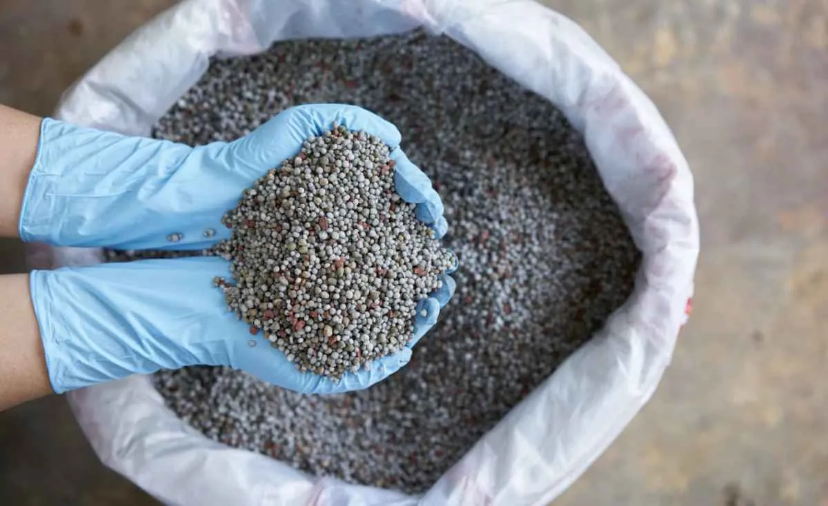Conflitos globais encarecem preço de fertilizantes no país