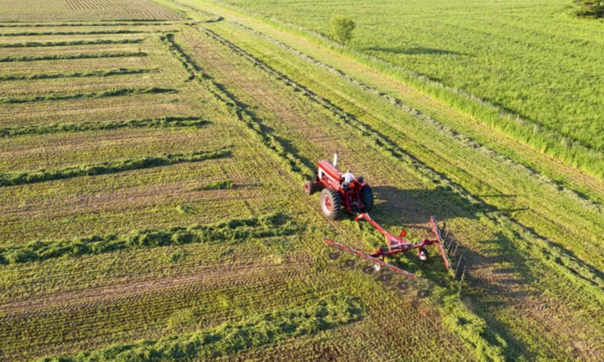 Nova MP autoriza renegociação de dívidas rurais por perdas climáticas