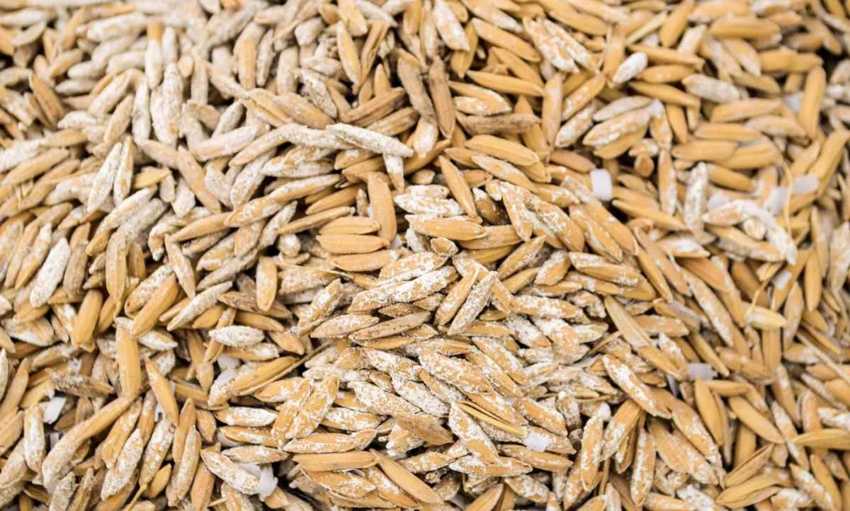 Exportação de arroz do Brasil salta 83% no primeiro semestre