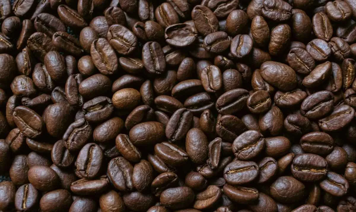 Preço do café cai no varejo do Paraná com avanço de safra
