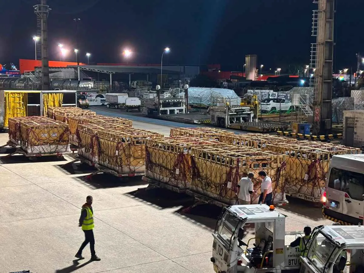 Brasil faz primeira exportação de gado Girolando a Botswana