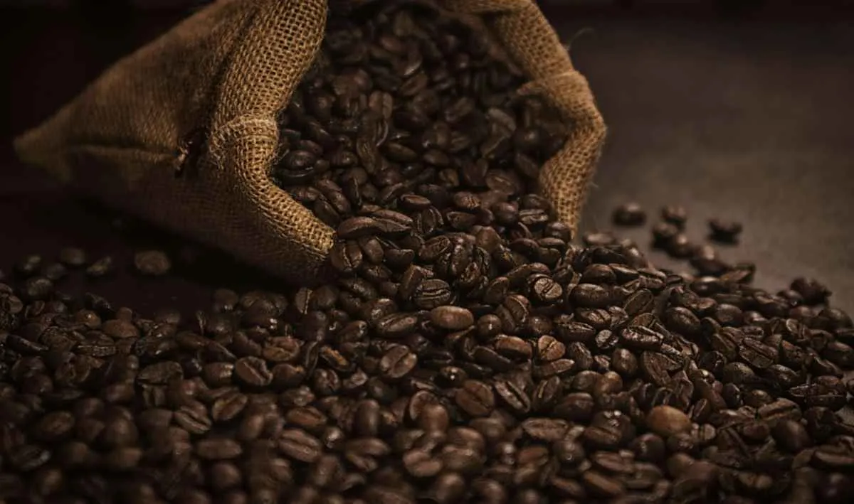 Brasil exporta 38,5 mi de sacas de café e receita atinge US$ 14,6 bi