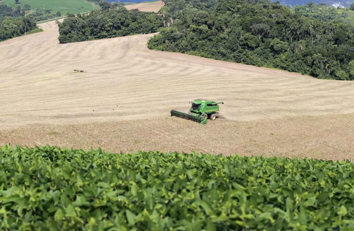 VBP agropecuário do Paraná dobra em seis anos e atinge R$ 212 bilhões