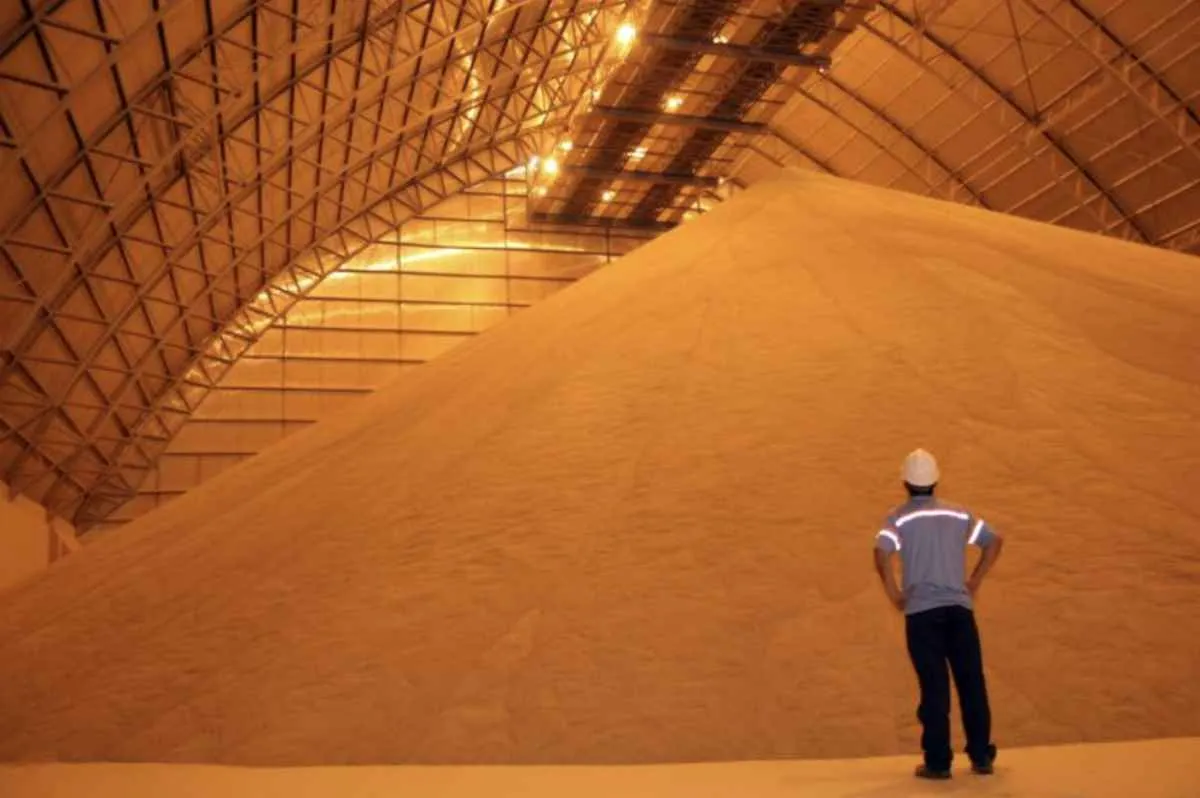 Preço da soja reage e melhora cenário de vendas para o produtor do MS