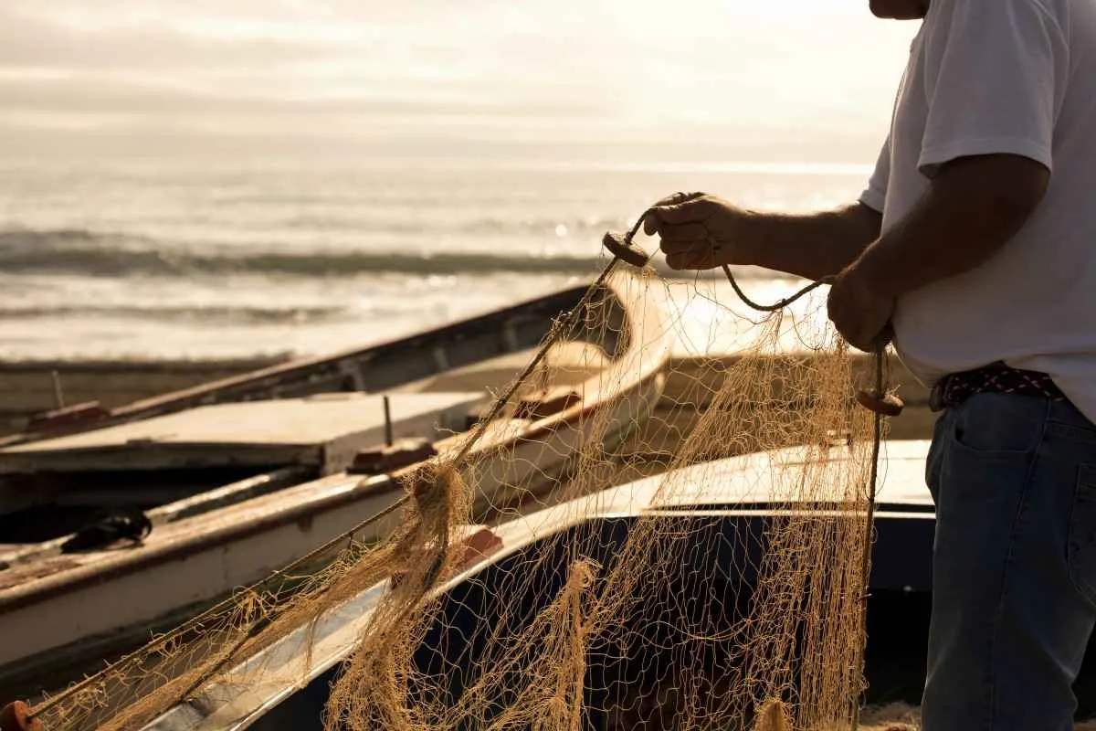 Instituto de Pesca lança acervo digital sobre pesca artesanal