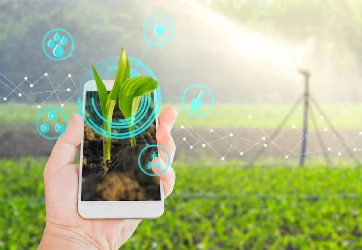 Uso da Internet cresce em Goiás e agro impulsiona setor