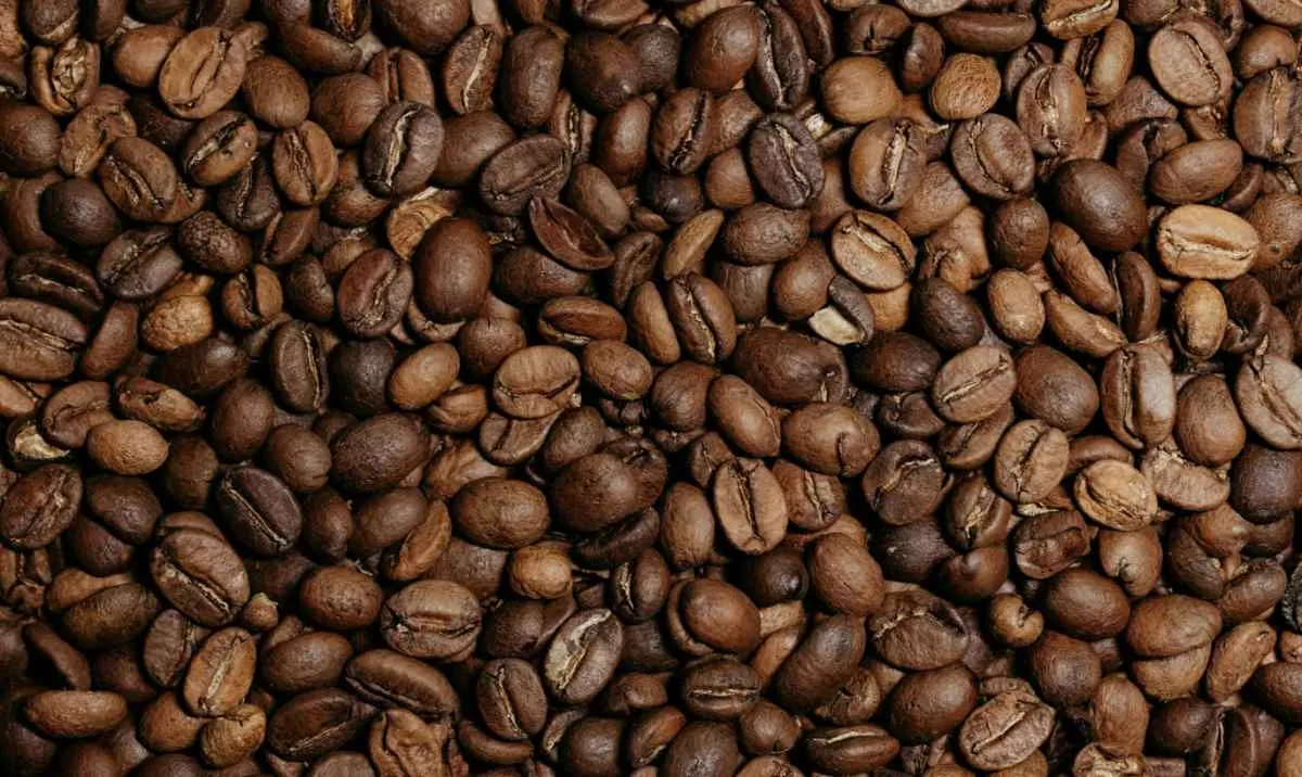 Clima e qualidade elevam volatilidade do café arábica